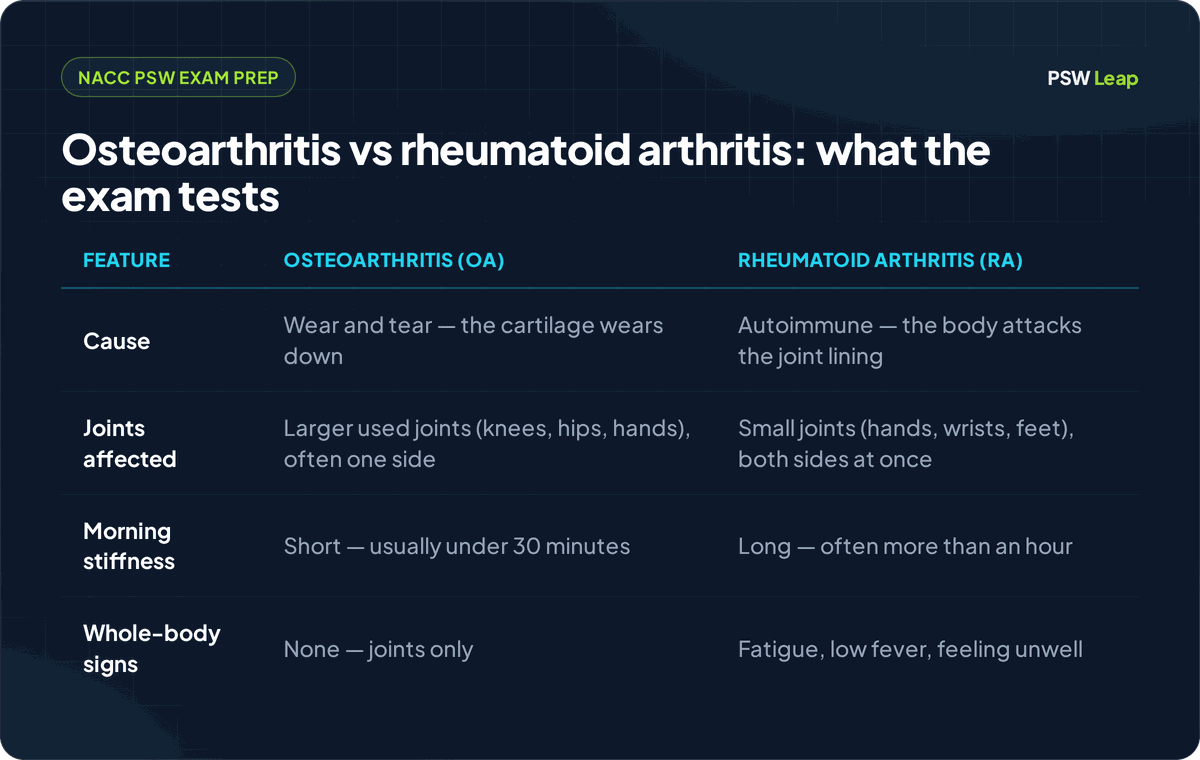 A comparison table for the NACC PSW exam: osteoarthritis versus rheumatoid arthritis. Osteoarthritis is caused by wear and tear as the cartilage in a joint wears down; it affects larger used joints such as the knees, hips and hands, often worse on one side; the morning stiffness is short, usually under 30 minutes; and it stays in the joints with no whole-body signs. Rheumatoid arthritis is an autoimmune disease in which the body attacks the joint lining; it affects small joints in the hands, wrists and feet on both sides at once; the morning stiffness is long, often more than an hour; and it brings whole-body signs such as fatigue, a low fever and feeling unwell. The PSW does not diagnose which type a client has — the role is to support daily care, protect the joints, and observe and report changes to the nurse.