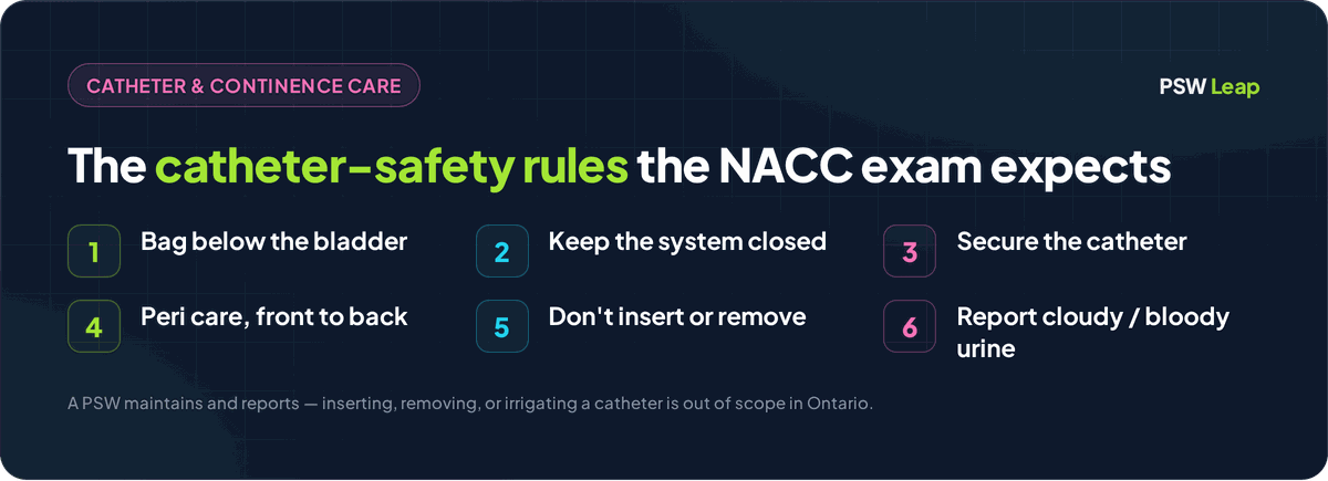 Catheter and continence care rules for the NACC PSW exam: keep the drainage bag below the bladder, keep a closed system, secure the catheter, peri care front to back, do not insert or remove, and report cloudy or bloody urine