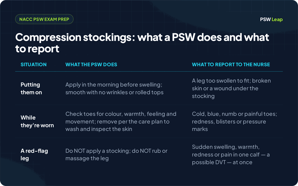 A three-row table for the NACC PSW exam on compression and anti-embolic stockings: putting them on (apply in the morning before swelling, smooth with no wrinkles or rolled tops; report a leg too swollen to fit or broken skin under the stocking); while they are worn (check toes for colour, warmth, feeling and movement and inspect the skin per the care plan; report cold, blue, numb or painful toes, redness, blisters or pressure marks); and a red-flag leg (never apply a stocking or massage a calf with sudden swelling, warmth, redness or pain in one leg, which may be a DVT — report it at once).