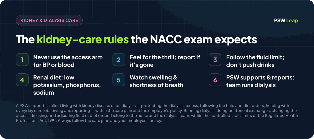 Kidney disease and dialysis care rules for the NACC PSW exam: never use the arm with the dialysis access for blood pressure or blood draws, feel for the thrill over a fistula and report if it is gone, follow the client's fluid limit instead of encouraging extra drinks, follow the ordered renal diet that is often low in potassium, phosphorus, and sodium, watch for and report swelling and shortness of breath from fluid overload, and a PSW supports and reports while the nurse and dialysis team run the treatment