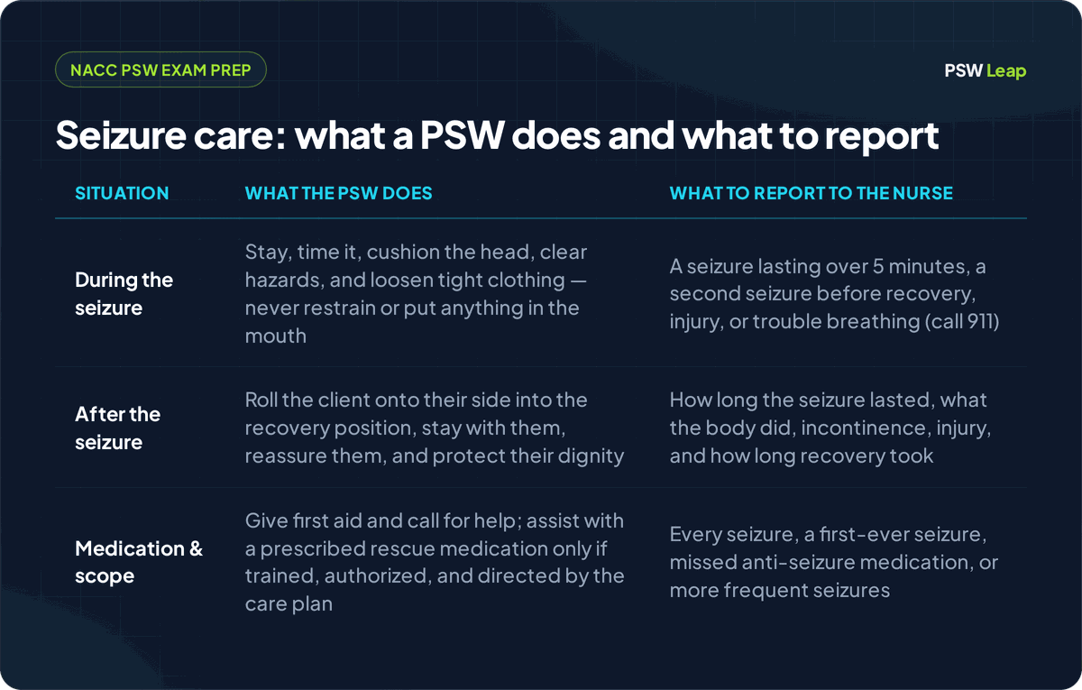 A three-row table for the NACC PSW exam on seizure and epilepsy care: during the seizure (stay, time it, cushion the head, clear hazards, and loosen tight clothing, and never restrain the client or put anything in their mouth; report a seizure lasting over 5 minutes, a second seizure before recovery, injury, or trouble breathing, and call 911); after the seizure (roll the client onto their side into the recovery position, stay with them, reassure them, and protect their dignity; report how long the seizure lasted, what the body did, incontinence, injury, and how long recovery took); and medication and scope (give first aid and call for help, and assist with a prescribed rescue medication only if trained, authorized, and directed by the care plan; report every seizure, a first-ever seizure, missed anti-seizure medication, or more frequent seizures). The PSW gives first aid and reports; the PSW does not restrain the client, put anything in the mouth, or give rescue medication without training and authorization.