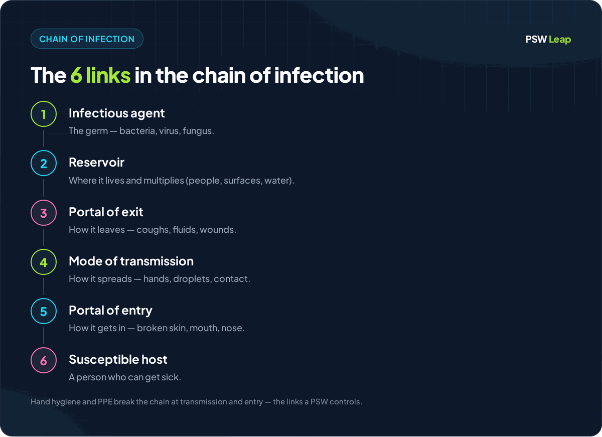 The six links in the chain of infection: infectious agent, reservoir, portal of exit, mode of transmission, portal of entry, and susceptible host
